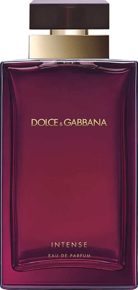 dolce gabbana intense notes